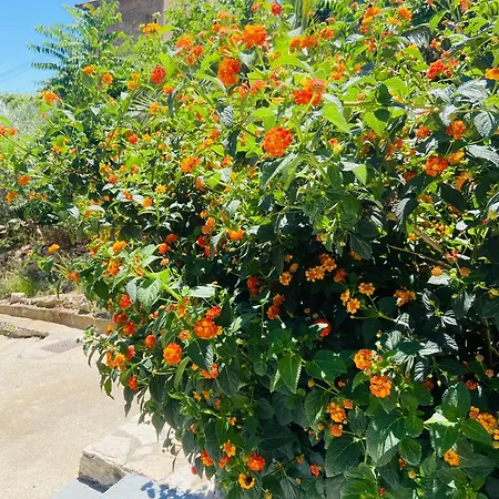 Apartament Ma Calanque *